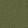 Civetta-415 Civetta-415
