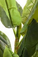 Vorschau: Deko Pflanze Banana Tree 180cm Vorschau: Deko Pflanze Banana Tree 180cm