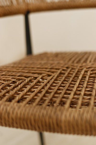 Jacora wheat