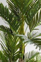 Vorschau: Deko Pflanze Palm Tree 190cm Vorschau: Deko Pflanze Palm Tree 190cm