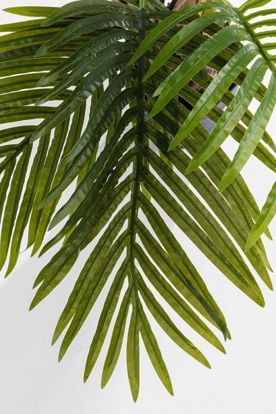 Deko Pflanze Palm Tree 190cm