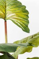 Vorschau: Deko Pflanze Rainforest Green 160cm Vorschau: Deko Pflanze Rainforest Green 160cm