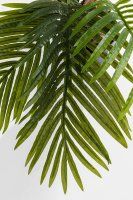 Vorschau: Deko Pflanze Palm Tree 190cm Vorschau: Deko Pflanze Palm Tree 190cm