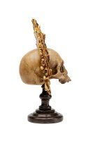 Vorschau: Deko Objekt King Skull 42cm Vorschau: Deko Objekt King Skull 42cm