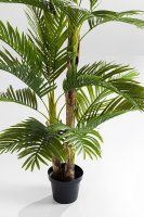 Vorschau: Deko Pflanze Palm Tree 190cm Vorschau: Deko Pflanze Palm Tree 190cm