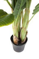Vorschau: Deko Pflanze Banana Tree 180cm Vorschau: Deko Pflanze Banana Tree 180cm